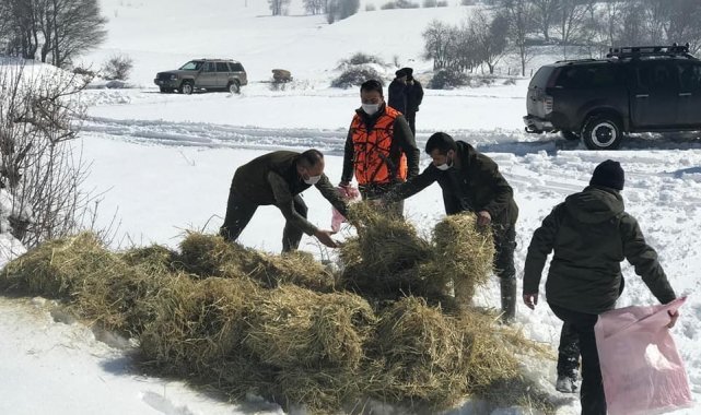 Yaban hayvanlarına 70 ton yem bırakılacak