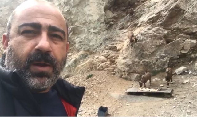 Yaban keçileriyle selfie pozu