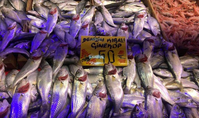 Yağışlar balık fiyatlarını uçurdu