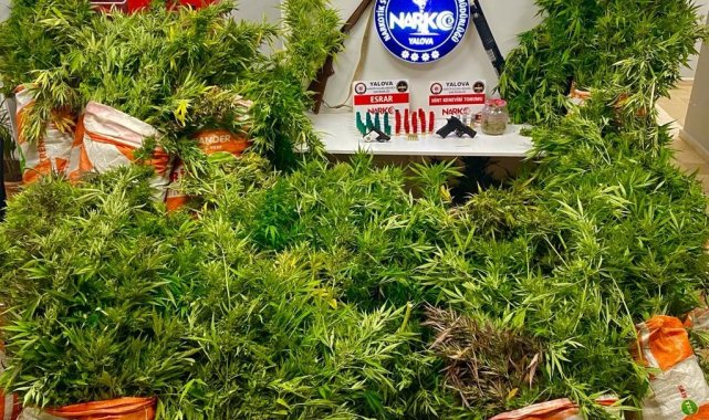 Yalova'da uyuşturucu operasyonu