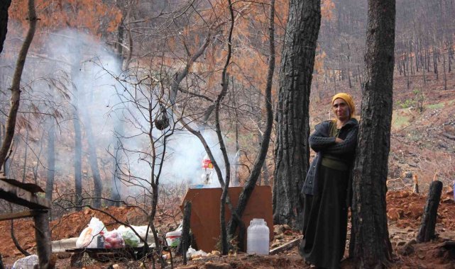 Yanan sahalarda kesim işçilerinin elektriksiz yaşam mücadelesi