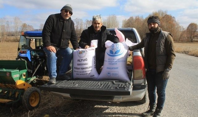 Yerli buğday toprakla buluştu