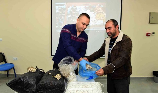 Yıldırım'dan girişimci adaylarına mantarcılık kursu