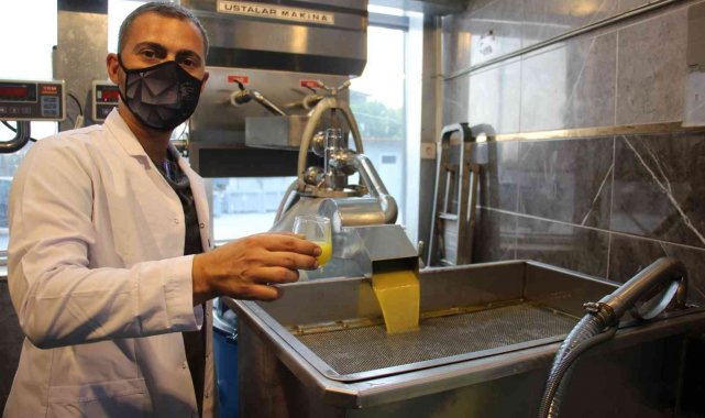 Zeytin sezonu ile birlikte yağhanelerde de yoğunluk başladı