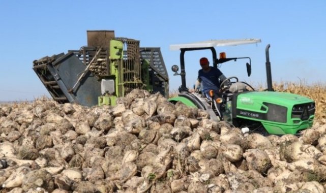 Ziraat Odası Başkanı'nda 'şeker yok' iddiasına tepki