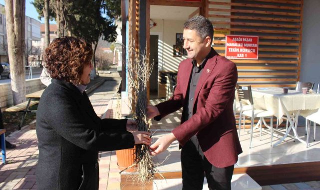 1 milyon adet orman ağacı fidanı toprakla buluşacak