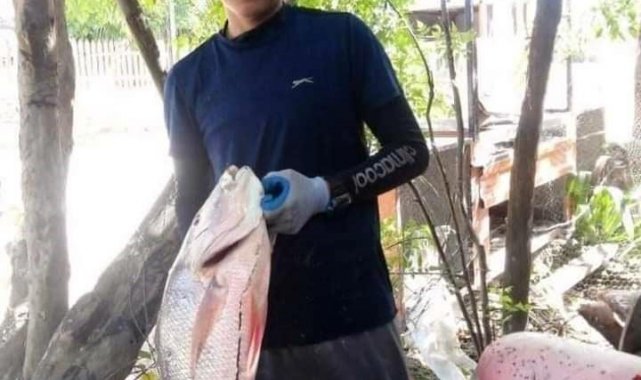 14 yaşındaki çocuk kolunu ısıran köpekbalığının burnunu sıkarak saldırıdan kurtuldu