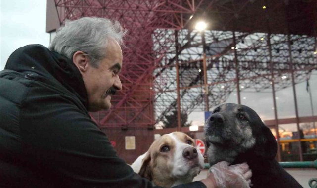 15 yıldır terminal etrafındaki köpekleri besliyor