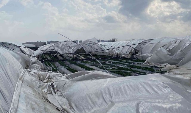 2 gün sonra hasat yapılacak seralar, fırtınada yerle bir oldu