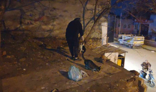 30 yıldır 40 kedi ve 10 köpeği besliyor