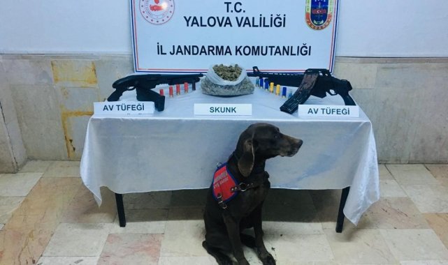 ''Venüs'' tespit etti, 847 gram uyuşturucu ele geçirildi