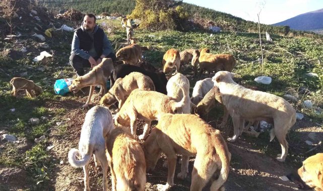 'Türkiye'nin en iyi kuaförü' sokak hayvanlarına can oluyor
