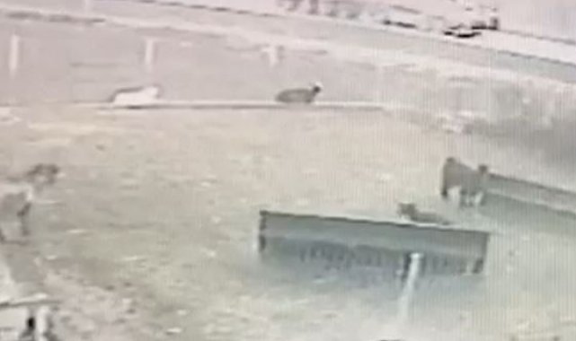 4 kişinin öldüğü kaza kamerada