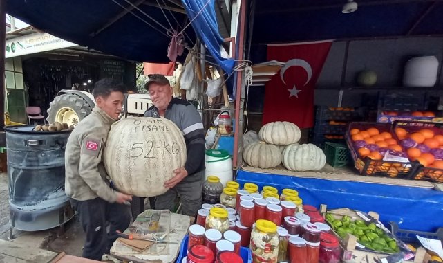 52 kiloluk dev kabak görenleri şaşırtıyor
