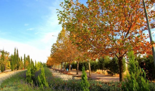 7 Aralık Üniversitesi Greenmetric Dünya Üniversiteleri sıralamasında