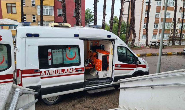 70 yaşındaki adam ağaca çıkarken merdivenden düştü