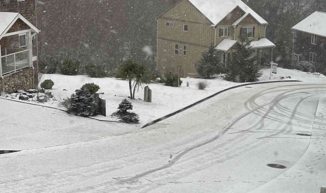ABD'de kar sokakları beyaza bürüdü