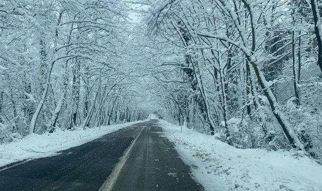Ağaç tüneller kar güzelliği ile mest ediyor