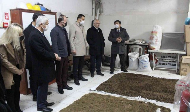 Ağaç yapraklarından pelet üretiliyor