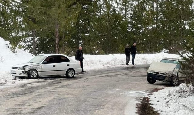 Ağaçta buz sakırtıları oluştu