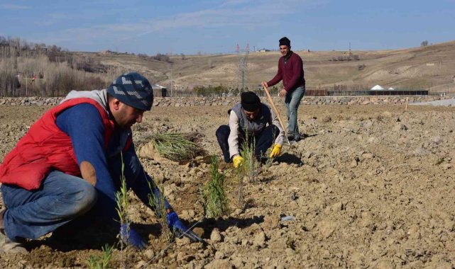 Ahlat Lavanta Parkı Projesi fotoğraf turizmine katkı sunacak