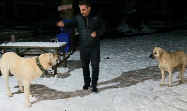 AK Gönüller sokak hayvanlarını unutmuyor