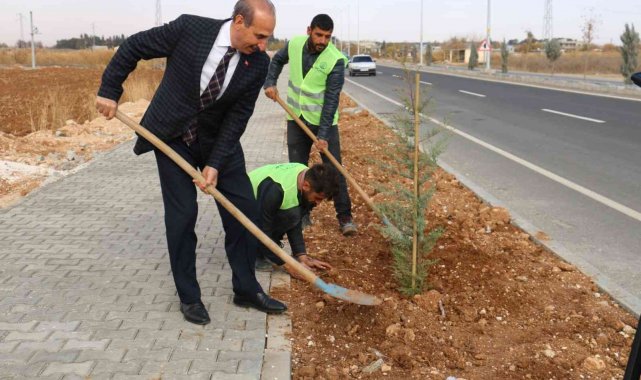 Akçakale&#039;de yeşil atağı sürüyor