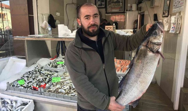 Akçakoca'da 7 kilo levrek avlandı
