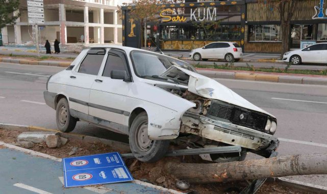 Aksaray'da otomobil ağaca çarptı: 1 yaralı