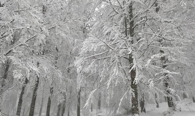 Alaçam&#039;da kartpostallık kar manzaraları