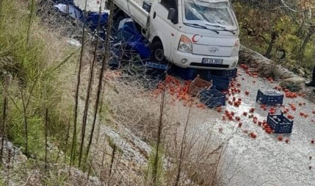 Alaşehir'de meyve yüklü kamyonet şarampole devrildi