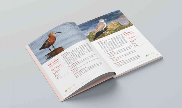 Aliağa Kuş Cenneti ve Güzelhisar Deltası kitaplaştı