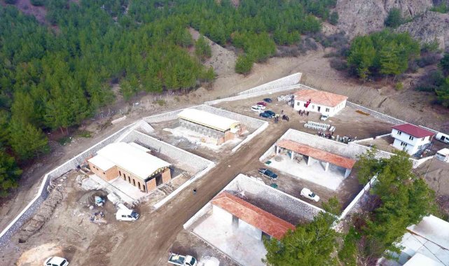 Amasya Belediyesi sokak hayvanları için otel yapıyor