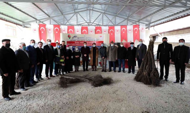 Amasya çiftçisine 40 binden fazla ceviz ve kuşburnu fidanı desteği