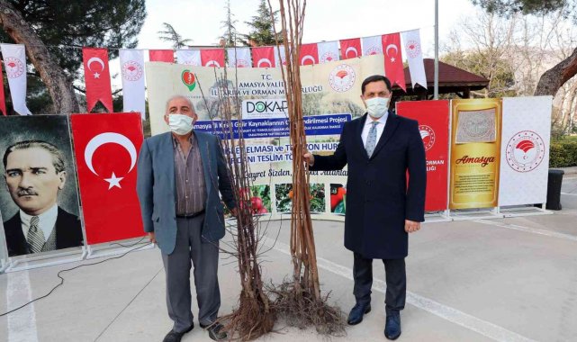 Amasya çiftçisine misket elma ve Trabzon hurması fidanı dağıtıldı