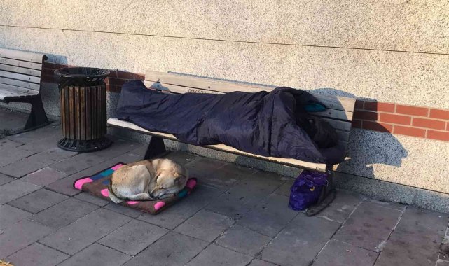 Ankara ayazında yürek ısıtan görüntü