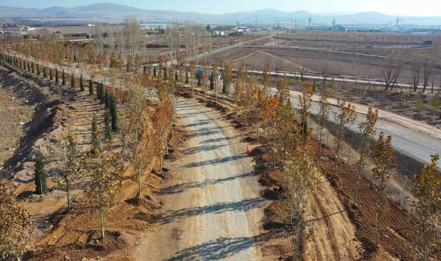 Ankara'da, Haziran ayına kadar hedef 70 bin ağaç