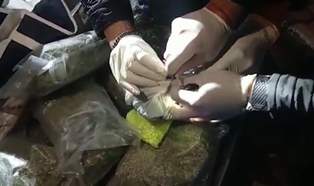 Antalya'da baskın yapılan depoda 19 kilo skunk maddesi ele geçirildi