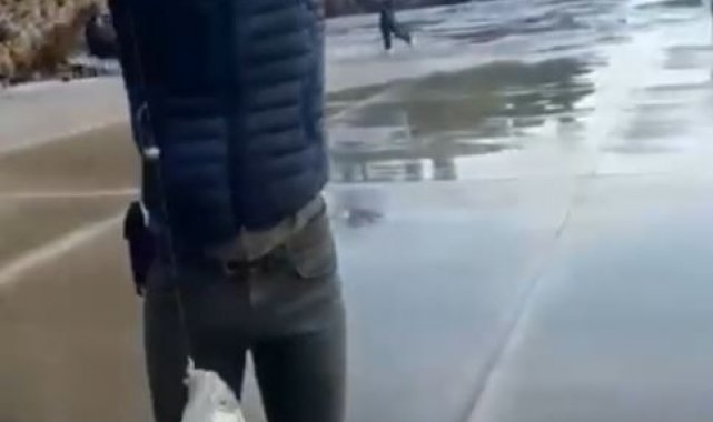 Antalya'da genç kızın Tral balığı sevinci: " İnanmıyorum, kocaman balık tuttuk"