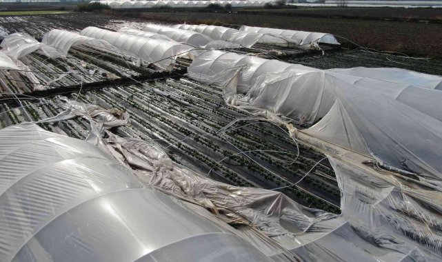 Antalya'da şiddetli fırtına çilek seralarını vurdu