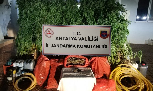 Antalya'da uyuşturucu tacirlerine darbe: 43 şüpheli tutuklandı
