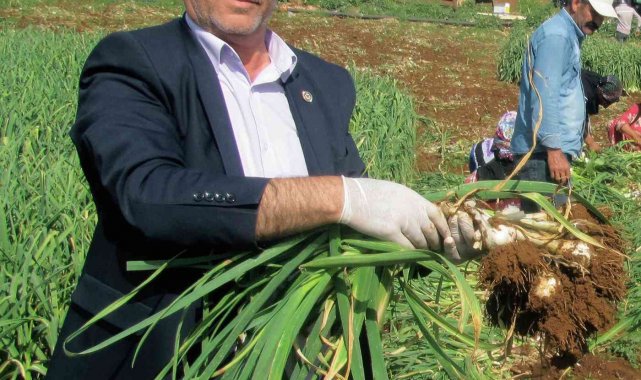 Arabanlı çiftçilere don uyarısı