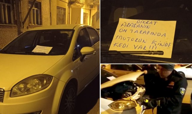 Aracın motoruna sıkışan kedi itfaiye ekipleri tarafından kurtarıldı