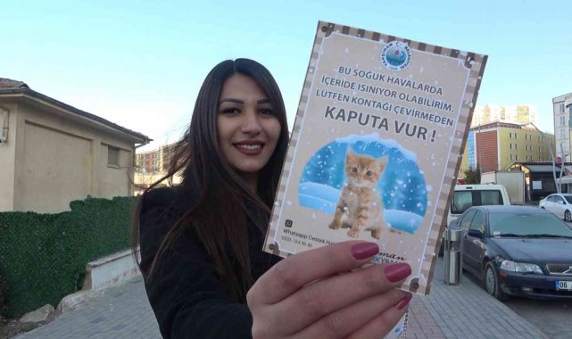 Araçların motor bölümüne giren kedilere dikkat: 'Kontağı çevirmeden kaputa vurun'