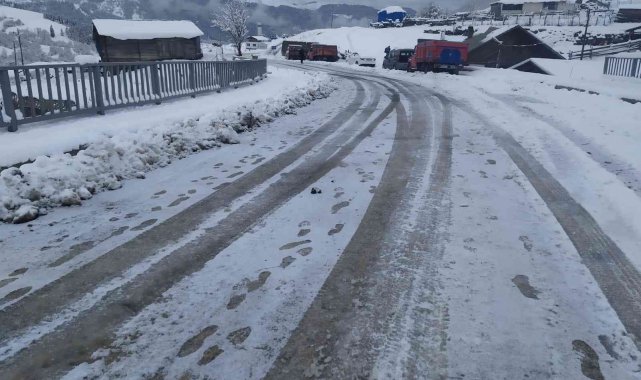 Artvin-Ardanuç-Ardahan karayolu kar nedeniyle ulaşıma kapandı
