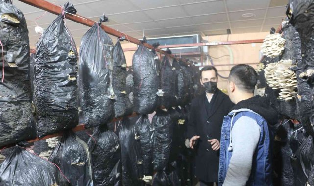 Atıl durumdaki prefabrik, çiftçiler için üretim merkezine çevrildi