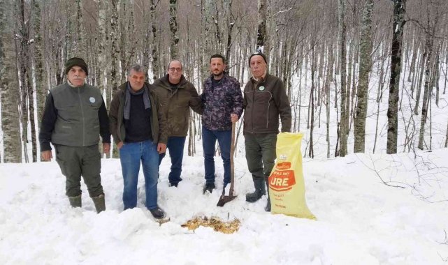 Avcılar yabanî hayvanlar için ormana yem bıraktı