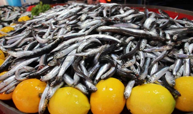 Aydın'da balık tezgahlarının yıldızı 'hamsi' oldu