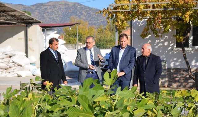 Aydın'da incir fidanı dağıtıldı