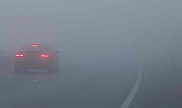 Aydın'da yoğun sis etkili oldu